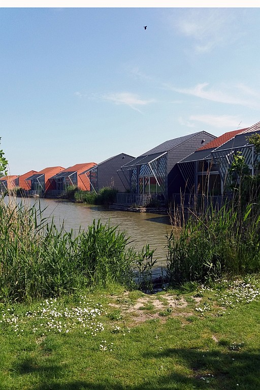 SP0518 (12).jpg